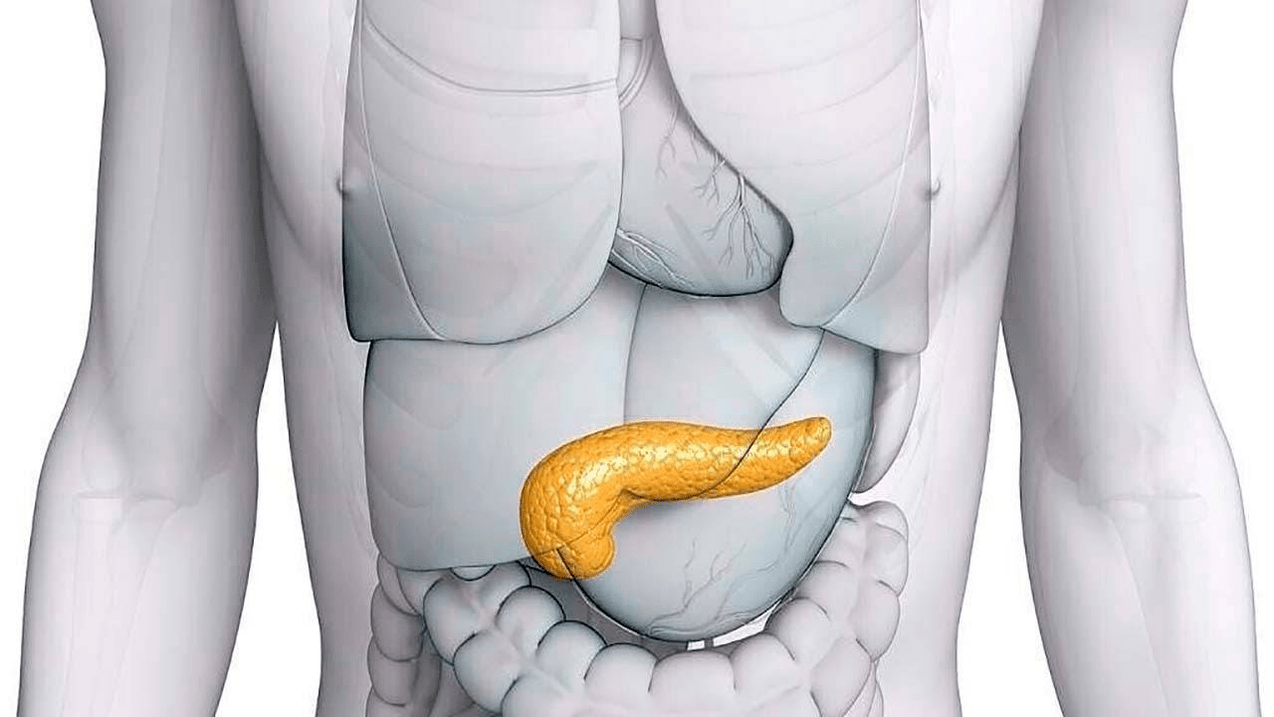 pancreas sano dopo aver preso Glucoren
